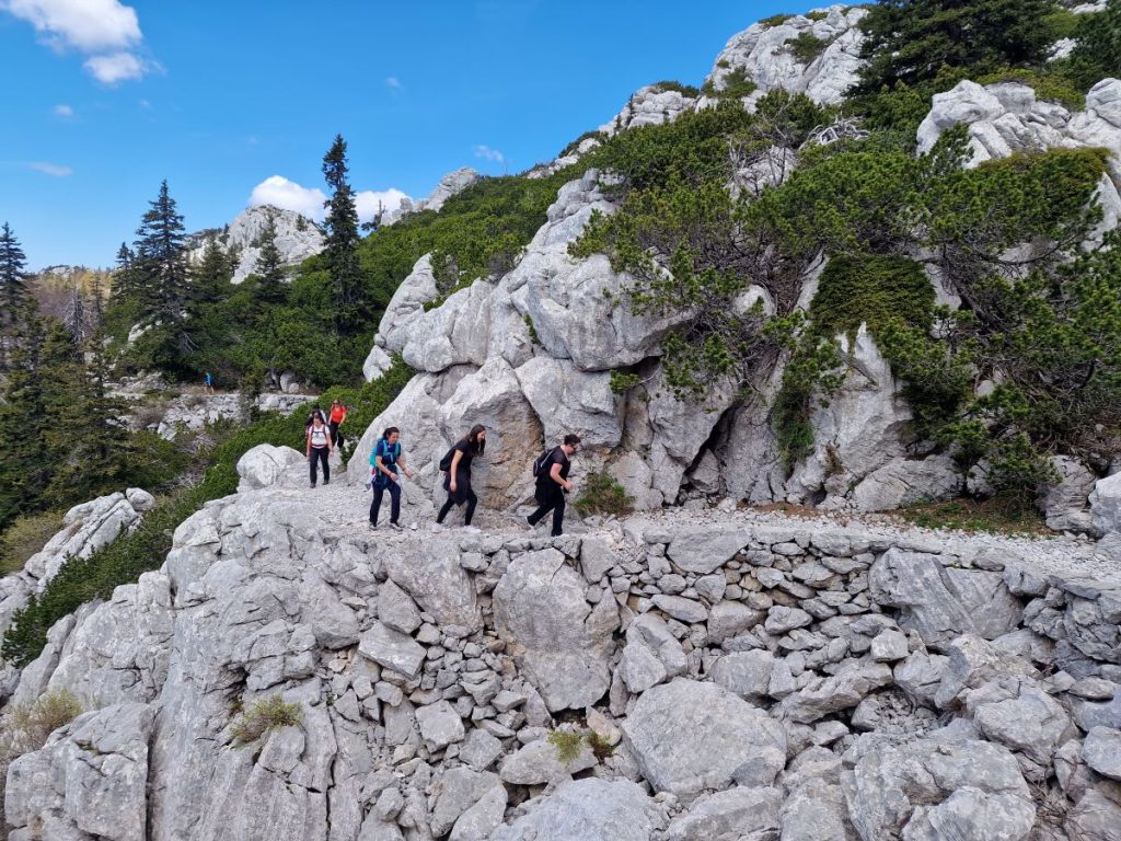 planinarska staza kroz šumu lagani početak planinarenja priroda